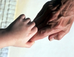 Руки ребенка и взрослого. Фото: starnet.ru